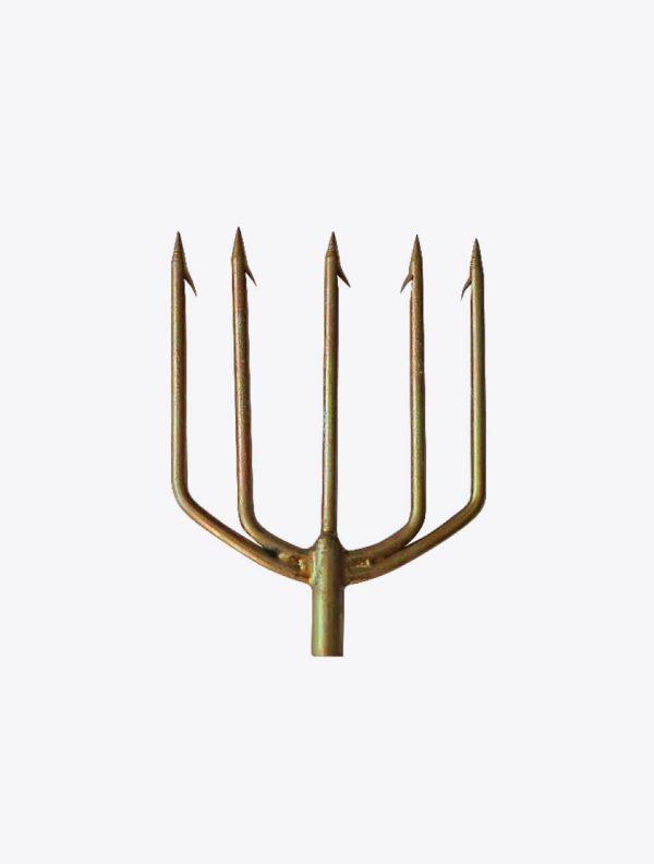 Mastrosub Trident 5 Prongs Φ5mm