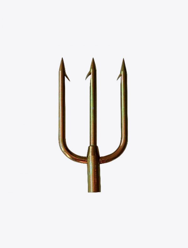 Mastrosub Trident Φ6